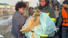 Ловят животных, привезли воду: кадры спасательной операции в затопленном Орске
