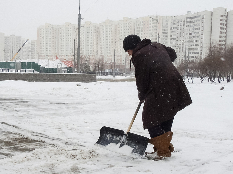 Мигрантский труд: Россия отказывается от иностранных рабочих