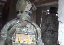 На Кавказе ликвидированы боевики, планировавшие теракты и диверсии

