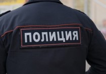 В Центре общественных связей ФСБ озвучили детали задержания в Москве иностранного гражданина, планировавшего совершить теракт в столичной синагоге