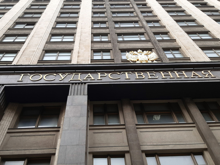 В Думе прокомментировали уголовное дело против правнучки Чкалова