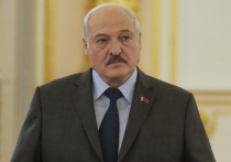 Президент Белоруссии Александр Лукашенко заявил, что французские военные не будут защищать Украину. Об этом он сообщил в беседе с журналистами, запись которой опубликовал в своем телеграм-канале журналист ВГТРК Павел Зарубин. 
