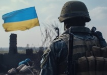 Только 8% жителей ФРГ полагают, что Украина может одержать верх в противостоянии с Россией благодаря поставкам западных вооружений, о чем свидетельствуют результаты опроса, который был проведен для телеканала ZDF.