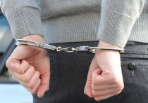 В Московской области, в поселке Монино в городском округе Щелково задержали 31-летнего мужчину, который подозревается в том, что обливал женщин кислотой