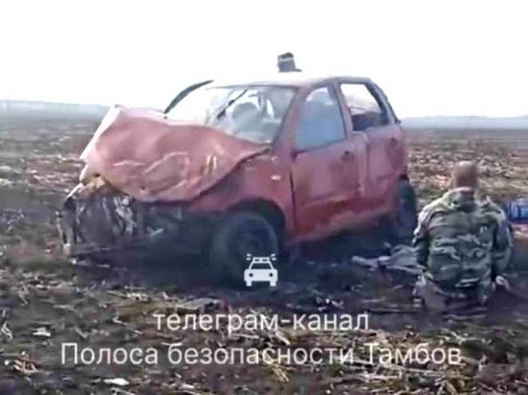 В Петровском округе водитель легковушки опрокинулся в кювет и погиб