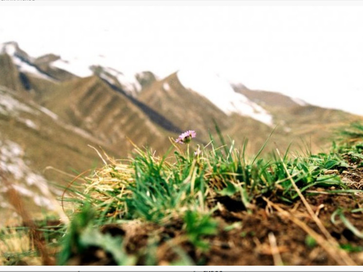 Дагестан бьет тревогу: лавины грозят горным районам