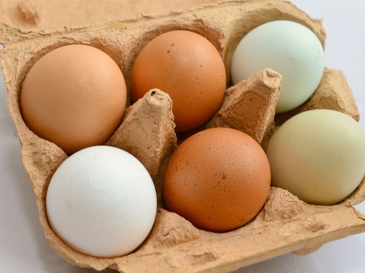 Куриные яйца подорожали в Нижегородкой области на 58,1% за год