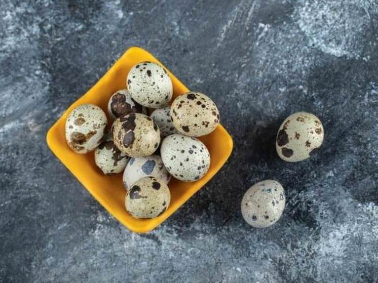 Тамбовские перепелиные яйца «прославились» антибиотиками и сальмонеллезом