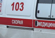 В Петербурге студентка университета "Промтехдизайна" впала в кому в свой день рождения после соревнований по жиму лёжа