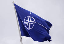 Североатлантический альянс "очень позитивно" смотрит на намерение Аргентины стать глобальным партнером НАТО
