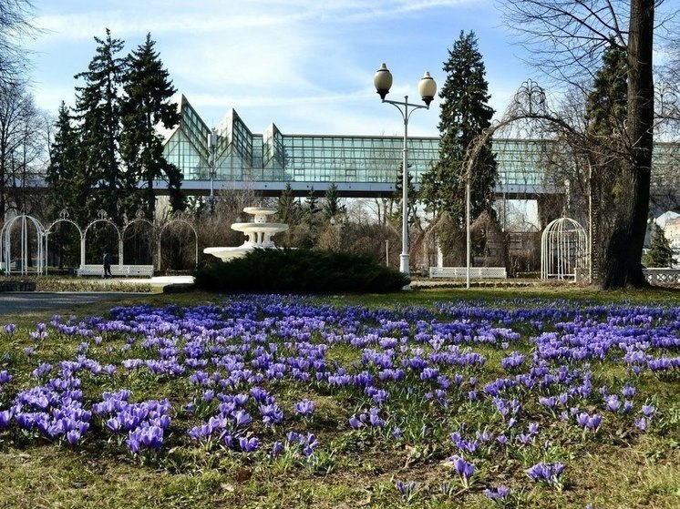 В Москве на первые майские праздники ожидается апрельская погода