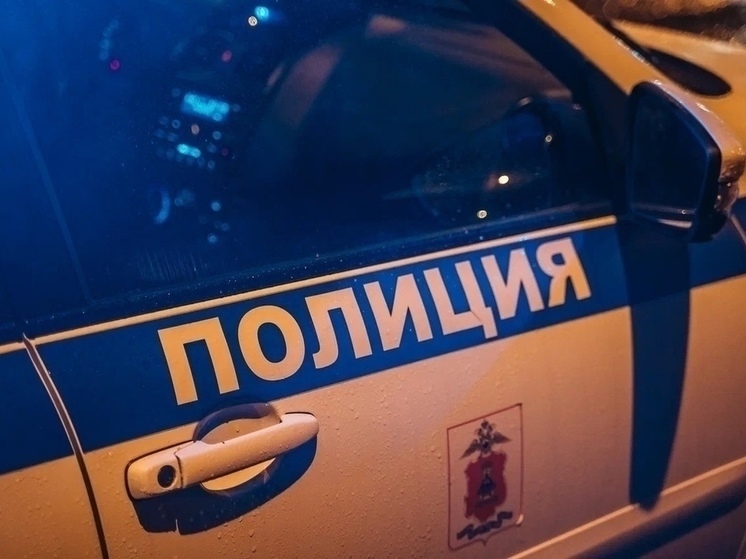 Житель Забайкальского края избил сожительницу на почве ревности к ростовой кукле