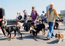 В рамках проекта «Защита животного мира» партии «Единая Россия» в Чебоксарах состоится парад собак