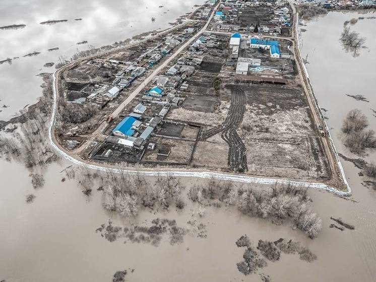 Власти Ишима: уровень воды в реке достиг критериев опасного половодья