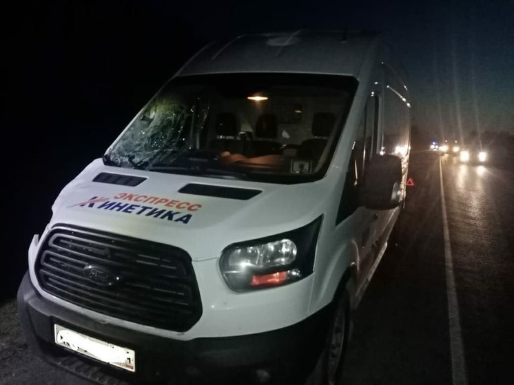 Третье ночное смертельное ДТП в Новосибирске: «Форд Транзит» задавил пешехода