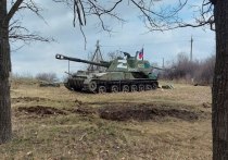Российские войска смогли взять под свой полный контроль населенный пункт Богдановка в ДНР