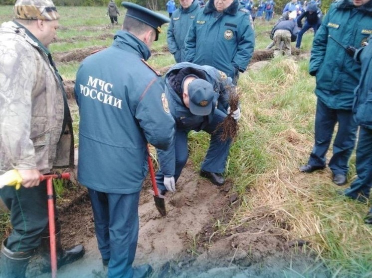 Калининградские спасатели приняли участие в акции «Сад памяти»