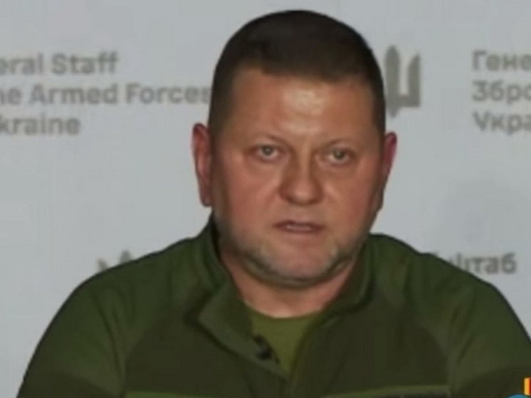 Источник в Киеве: Залужного задержали из-за опасений военного бунта