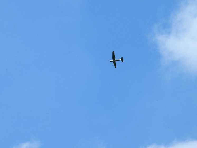 На территории сельхозпредприятия в Ульяновской области нашли БПЛА самолетного типа