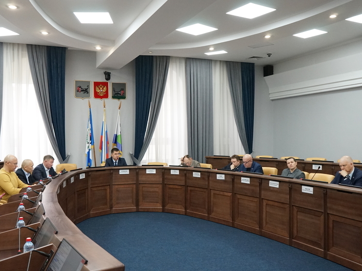 На заседании комиссии по бюджетной политике думы Иркутска скорректировали бюджет
