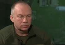 Бывший аналитик ЦРУ Ларри Джонсон заявил, что ряд украинских подразделений отказываются подчиняться главкому ВСУ Александру Сырскому и не хотят воевать
