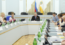Губернатор Владимир Владимиров принял участие в заседании, состоявшемся на площадке краевой Думы