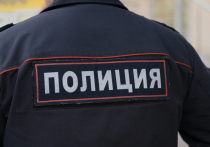 В Санкт-Петербурге неизвестные затащили иностранного гражданина в такси под дулом пистолета и вымогали 800 тысяч рублей