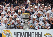 В четверг, 25 апреля, в 14:00 в пресс-центре «МК» состоится прямой эфир с российским хоккеистом и тренером Дмитрием Рябыкиным