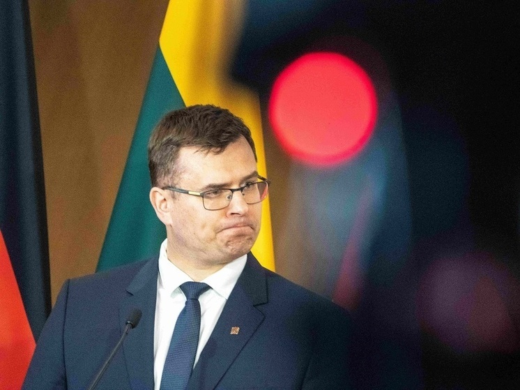 В Минобороны Литвы раскрыли планы по отправке военнообязанных украинцев на родину по примеру Польши