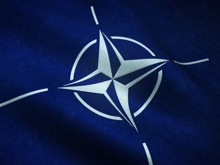 Драго Боснич: скандинавские страны из-за вступления в НАТО поставили себя под удар