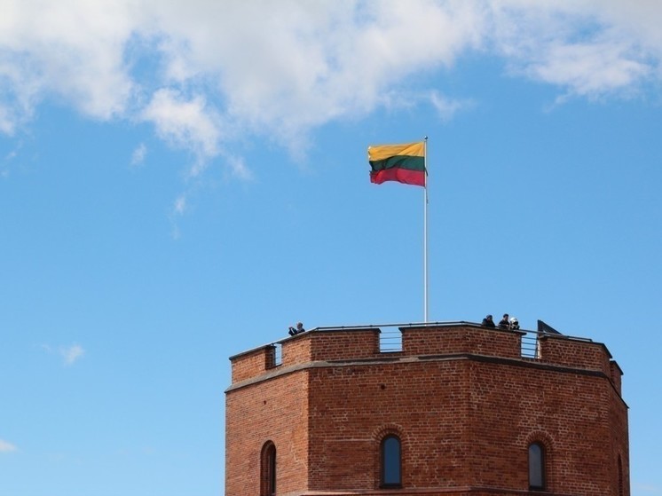Кандидата в президенты Литвы проверили обвинили в подкупе из-за цветов, подаренных женщинам 8 Марта