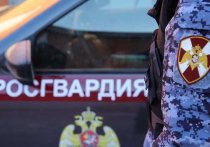 Лидер и солист группы «Коррозия Металла» Сергей Троицкий (Паук) был задержан правоохранителями во время концерта в Нижнем Новгороде