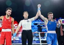 На чемпионате Европы боксеры Подмосковья завоевали 5 медалей