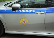 Подозреваемого в серии краж задержали сотрудники Росгвардии в Подмосковье