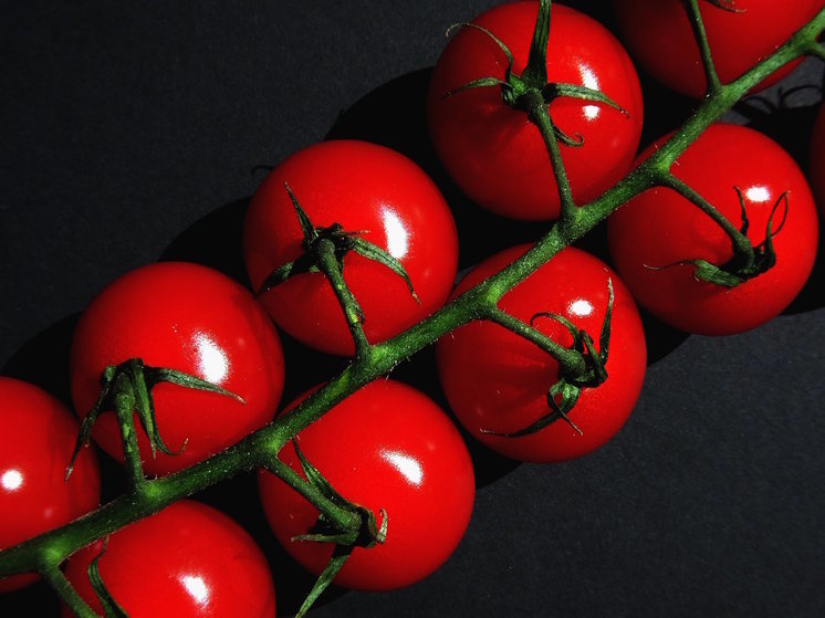 Россиянам описали подробную инструкцию по высадке помидоров в открытый грунт