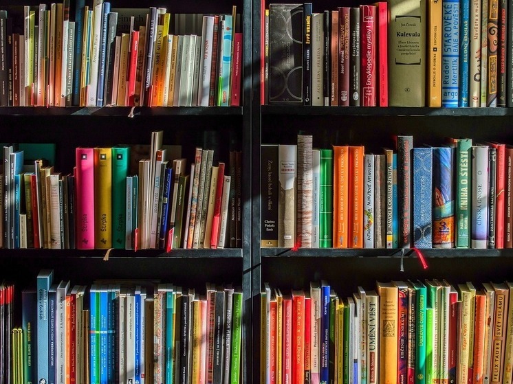 В тюменских библиотеках запущена акция "Месяц забывчивого читателя"
