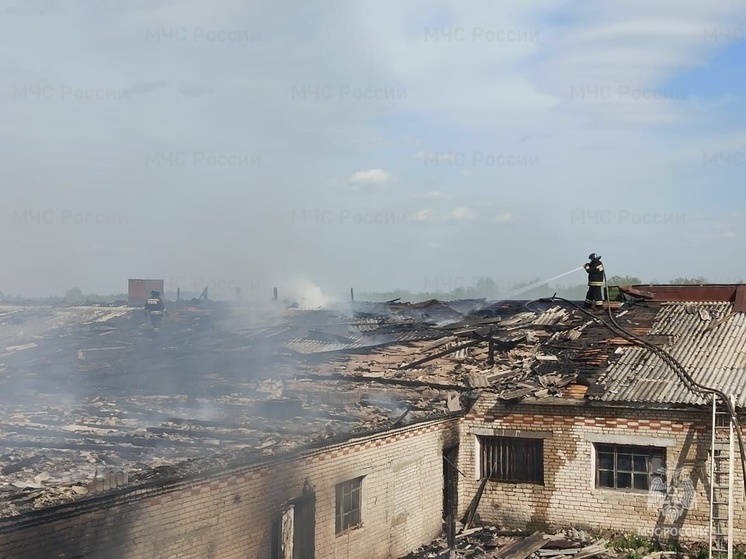 Во Владимирской области сгорела ферма на площади 800 кв. м, животных спасли