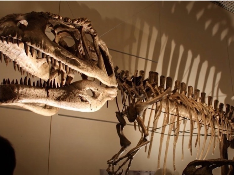 ZME Science: ученые разошлись во мнениях об умственных способностях тираннозавра