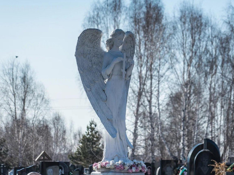 В Новосибирской области вандалы разгромили памятники на деревенском кладбище