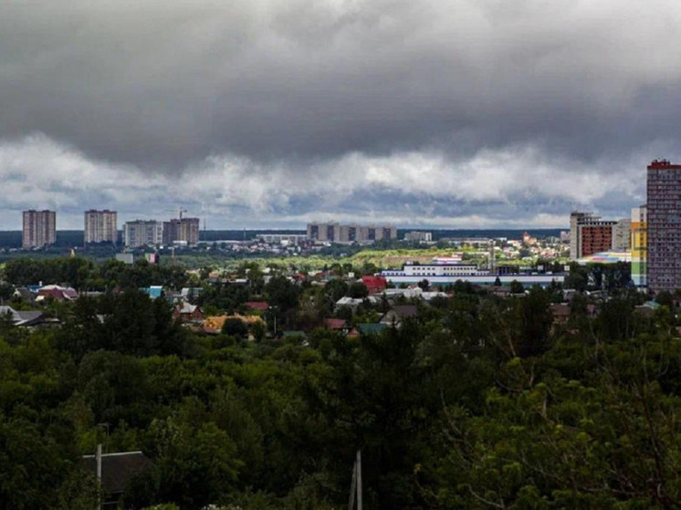 Жители Новосибирска выбрали территорию, которую благоустроят в 2025 году