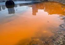 Во Владивостоке вода в морской акватории окрасилась в ярко-оранжевый цвет