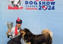 Породу «банхар» - бурят-монгольского волкодава впервые показали на Чемпионате мира в Хорватии, собака этой породы завоевала первое место среди непризнанных пород