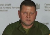 Рекордный мурал с бывшим главнокомандующим ВСУ Валерием Залужным создали в Киеве