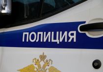Мужчину, который ударил девятилетнего ребенка по лицу в подмосковных Люберцах, арестовали на месяц