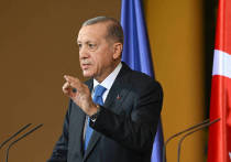 Президент Турции Реджеп Тайип Эрдоган официально заявил, что торговый оборот между его страной и Израилем в размере 9,5 млрд долларов прекращен