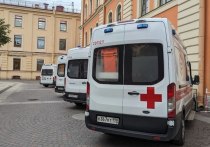 Два школьника получили тяжелые травмы после падения с большой высоты в Выборгском и Красносельском районах города. Об этом «МК в Питере» сообщил источник в правоохранительных органах.