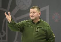 Украинская армия испытывает огромные проблемы на фронте из-за отставки бывшего главкома ВСУ Валерия Залужного