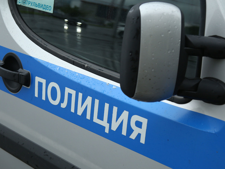 В Ленинградской области полиция задержала 39-летнюю женщину по подозрению в совершении развратных действий с несовершеннолетним