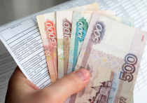 Эксперт Склянчук: «Мы не можем быть уверены, что не платим еще и за соседа»

