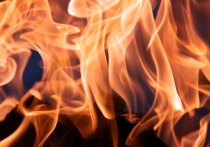 За прошлую неделю в Марий Эл случилось 30 пожаров, погибли два человека.